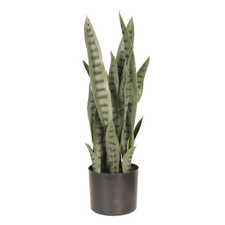 Decoratie plant sanseveria 26*30*60 cm Groen | 6PL0213 | Clayre & Eef
