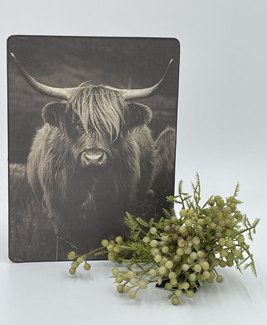 Staand deco bord nostalgisch afbeelding Schotse hooglander sepia 19 x 14 cm  mdf | 65513 | Home Sweet Home | Stoer & Sober Woonstijl