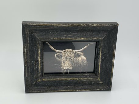 Fotolijst antiek zwart Schotse Hooglander maat S 20 x 16 cm | 121265 | Home Sweet Home | Stoer & Sober Landelijke Woonstijl